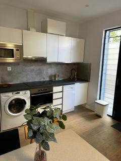 Exyca Castellana - 8