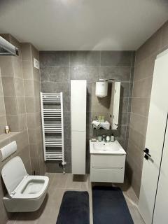 Apartman Avenija Sarajevo - Free Garage - Sarajevo - 3