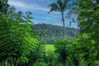 Tea house villa - Galle - 4