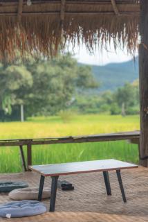 Serene Escape in Pai - 9