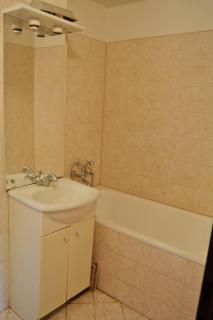 Apartment Trojska - 7