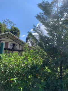 casa en el bosque - Oxapampa - 4