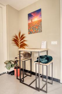 Appartement YCW 'Papillon' - Rijnsaterwoude - 4