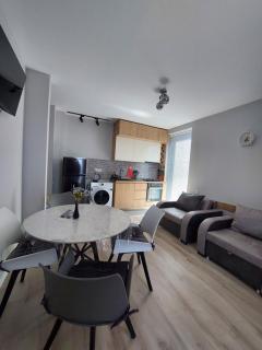 Bakuriani Travel Town Apartment - Bakoerjani - 9