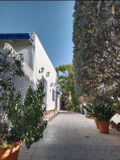 HARMONY Hotel Hostel Aruba - 3