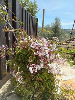 Μικρό σαλέ. - 1