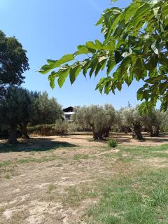 Villa Eleonas - Nea Makri - 4