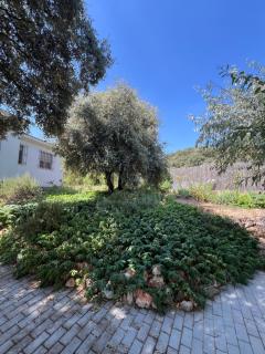 Casa Índalo - Hontoba - 1