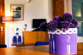 Quinta dos Cochichos - Country Houses - 5
