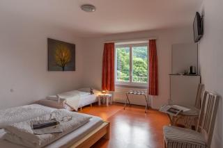 Hotel Pizzo Vogorno - Vogorno - 8
