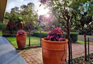 The Timboon Villa - 5 bedroom home - Timboon - 9