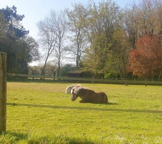 La campagne proche de l Océan - 0