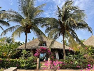 Agence Adjana Resort - Résidence Mangrove - Saly Portudal - 7