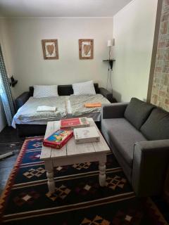 Riverside Forest Guesthouse - Lelʼa - 2