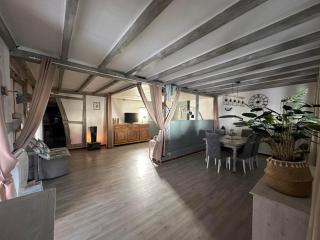 Gîte au Giessen - Loft - Biesheim - 8