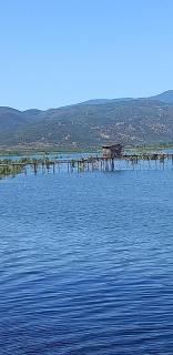 White sky - Star Dojran - 4