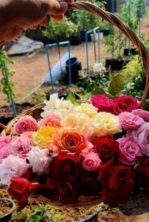 Baan Rai Pontip Homestay - - 1