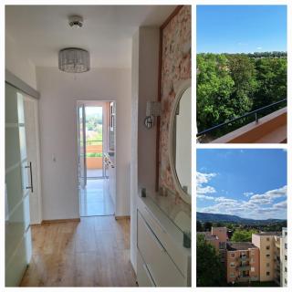 Ferienwohnung mit Blick auf die Harzberge - Bad Harzburg - 0