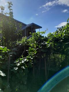 Дом где есть всё удобства 2 - Khashuri - 0