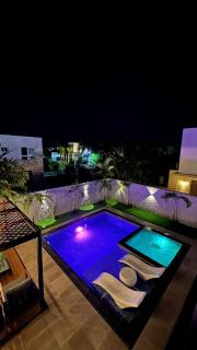Luxury Private Villa At Metro Pool Jacuzzi Wifi Sleeps 10 - Juan Dolio - 8