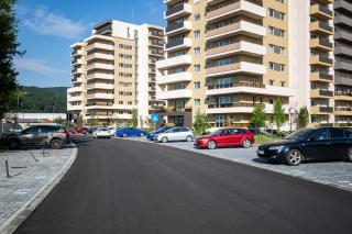 Mountain View Terrace Oasis - 1