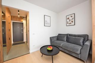 Novo Studio - Cismigiu Gardens - Quiet Room - Smart Tv - 9