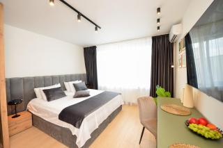 Novo Studio - Cismigiu Gardens - Quiet Room - Smart Tv - 6