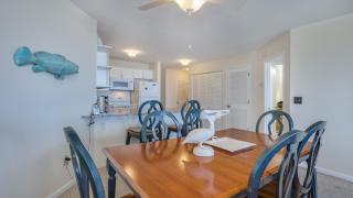 Oceantfront, Complex Pool, Bikes - Hilton Head Island - 1