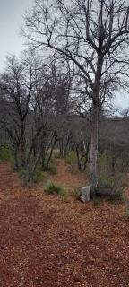 La Ruta de Los Volcanes - Las Trancas Chillán - Las Trancas - 5