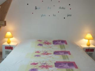 Chambre d'Hôtes - La Rigaudière - 4