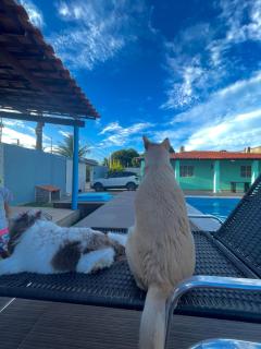 Chácara rodrigues - 5