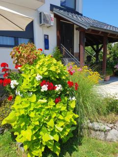 Guesthouse Vila - Slunj - 6