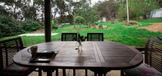 Homestead In The Hills - Bickley - 2