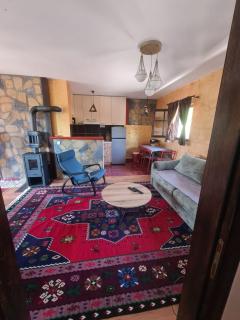 Zlatiborsko Srce 2 - Zlatibor - 7