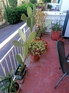 Alassio Nature Rooms - Alassio - 2