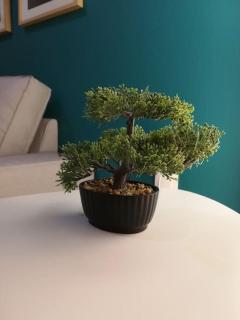 Unique 3 BDRM apartment, 5 min walk from Acropolis - 2