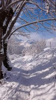 Chalet Le Refuge - 9