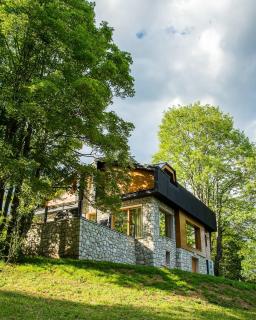 Villa Maрle Gate - Žabljak - 7