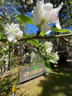 Avalon Apart - Mar de las Pampas - 2
