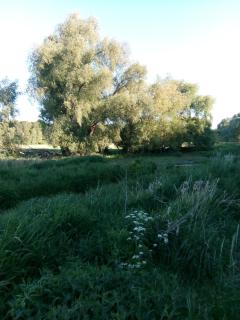 Eden 1 Zimmer Appartment - Hoppegarten - 1