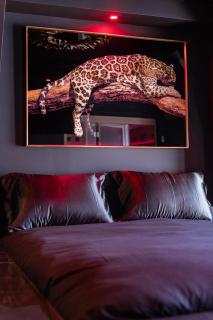 Suite D&S Luxury Room - Firminy - 1