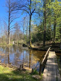Chata w Leśnych Pieleszach - sauna & balia z jacuzzi na wyłączność - 1