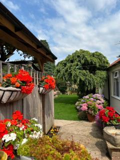 Acorn Cottage - Ollerton - 7