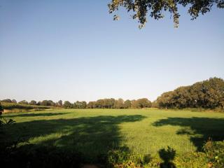 Oale Hof - Zeijen - 7