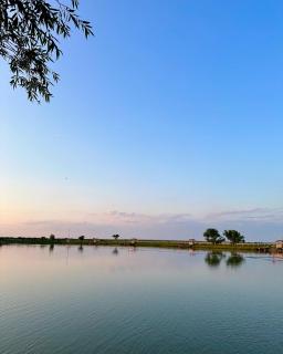 Golden Carp Lake - - 3
