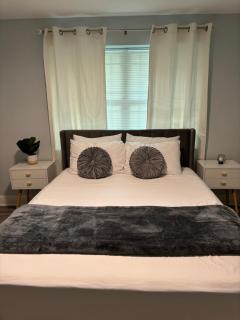 Charming Tampa 2BR - Near Busch Gardens & Zoo - Tampa - 0