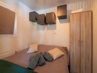 Luxury lodge in the middle of nature - Hattemerbroek - 6
