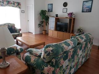 Three-Bedroom House in Clear Creek - Orlando - 4