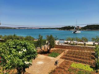 Apartment Dragica P A1 Pašman - 5
