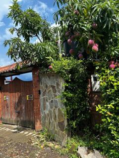 Finca ecoturistica Los Mangos - Tena - 6
